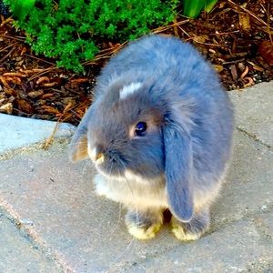 Meet your Posher, Marisa